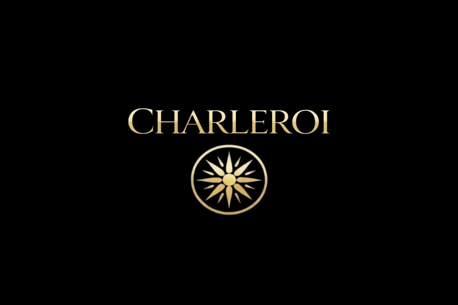 Charleroi by Diana Bișinicu
